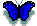 ch0cOc4t